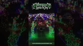 Experience Shipshewana Lights of Joy visitshipshewana [upl. by Rotsen]