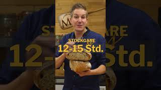 Brot für Anfänger marcelpaa einfachbacken shorts [upl. by Pahl]