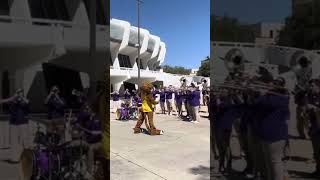 LSU’s MIKE DOES IT ALL mascot lsu tiger brassband shorts livemusic shortvideo ​⁠shortsfeed [upl. by Saul]