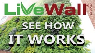 How The LiveWall Living Wall System Works [upl. by Chappie491]