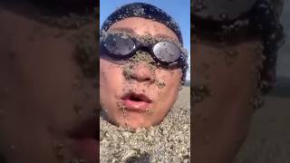 Pumice Stones Fake Land  Amazing Facts [upl. by Syned]