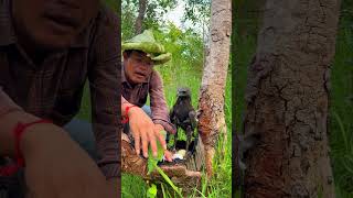 Men help remove parrots from eagle nestsparrot eagle bird animals beautiful funny love [upl. by Pedrotti]