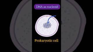 Eukaryotic Vs Prokaryotic cell trending biology yt youtubeshorts biology 10th 12thneet [upl. by Sibeal]