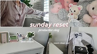 sunday reset routine  cleaning laundry prep for week productive vlog [upl. by Nnairrehs]