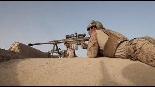 10 Most Powerful Sniper Rifles In The World [upl. by Nomma218]