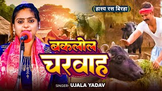 Ujala Yadav का हास्य रस बिरहा  बकलोल चरवाह  Bhojpuri Birha [upl. by Ahsekyw]