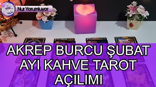 AKREP YUKSELEN AKREP BURCU ŞUBAT AYI KAHVE TAROT AÇILIMI burçyorumları [upl. by Derej960]