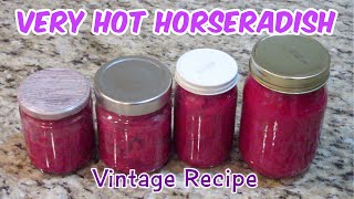 Homemade Horseradish Recipe With Beets  Very Hot Horseradish [upl. by Eislek]