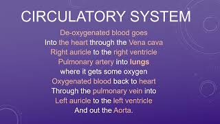 Circulatory System Song [upl. by Htnicayh180]