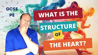 GCSE PE What is the Structure of the Heart [upl. by Ydok113]