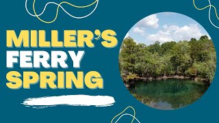 Millers Ferry Spring on Holmes Creek in Washington County Florida [upl. by Toille914]