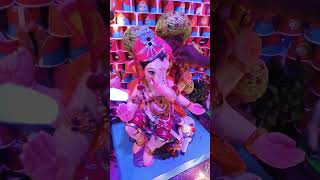 Tuk muk baghtoy ganpati song [upl. by Malena]