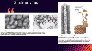 Dasardasar Mikrobiologi VIRUS [upl. by Tecu100]