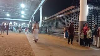 കണ്ണന്റെ ചെന്താമര 😍😍🙏 GURUVAYOOR CHENTHAMARAAKSHAN Ettumanoor Ulsavam [upl. by Yi]