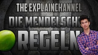 Die Mendelschen Regeln einfach erklärt [upl. by Kloman526]