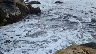 Rocky Coast near Kennebunkport USA [upl. by Ilram]