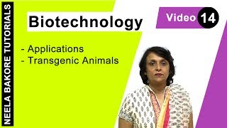 Biotechnology  NEET  Transgenic Animals  Neela Bakore Tutorials [upl. by Ignatz4]