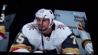 Ryan Reaves hits Melker Karlsson then fights Michael Haley [upl. by Akemehc]