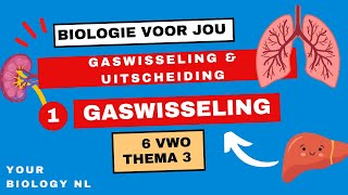 6 vwo  Gaswisseling amp Uitscheiding  1  Gaswisseling [upl. by Clarise597]