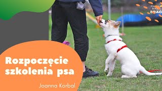 DOGINARY  Od czego zacząć szkolenie szczeniaka [upl. by Eekorehc478]