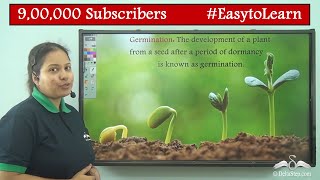 Germination of Seed Diagram  Class 5  CBSE  NCERT  ICSE [upl. by Sutsuj]