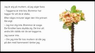 Ljudbok Den lille prinsen kapitel 7 Prinsens blomma [upl. by Eiliab]