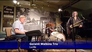 Geraint Watkins Trio  Lucille [upl. by Terryl731]