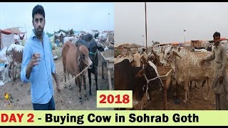 Sohrab Goth Cow Mandi  Humne Cow Le Li Phir Dakhein Kiya Hova  Video 2 [upl. by Beryl198]