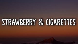 1 Hour Loop Troye Sivan  Strawberries amp Cigarettes [upl. by Azarcon468]