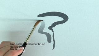 Red sable watercolour brush Series 36 No 8 [upl. by Elleon]