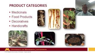 Forest Farming and NonTimber Forest Products Sustainable [upl. by Esserac333]