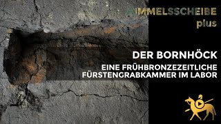 Der Bornhöck – eine frühbronzezeitliche Fürstengrabkammer im Labor  Himmelsscheibe plus [upl. by Annail672]