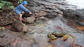 Giant King Crab Catch and Cook At the Beach  Giant Sea Crab Cooking with Big Wave  Wilderness Food [upl. by Nuahc142]