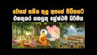 වෙසක් සතිය තුල දැකිය යුතු ශේෂ්ඨම ධර්මයMaha Rahathun Wedi Maga Osse [upl. by Innes]