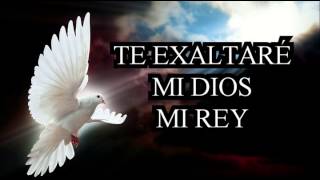 CORITOS CRISTIANOS TE EXALTARE MI DIOS MI REY [upl. by Esau]