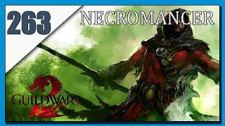 Exploring the Village  Guild Wars 2 Lets Play Necromancer Part 263 [upl. by Cooley236]