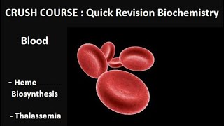 Biochemistry  blood heme synthesis  thalassemia  quick revision  blood module  Adham saleh [upl. by Marillin]