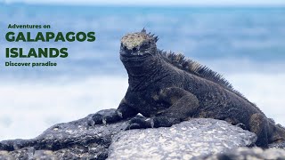 Discover paradise  adventures on the Galapagos Islands [upl. by Borer]