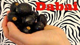 Dabai Review Canarium odontophyllum Weird Fruit Explorer Ep 135 [upl. by Ecinehs994]