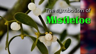 The symbolism of Mistletoe [upl. by Spalding]