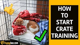 How To Start Crate Training a Puppy 8 tips [upl. by Nnyloj]