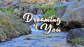 DREAMING OF YOU  Karaoke Version  in the style of Selena [upl. by Chico937]