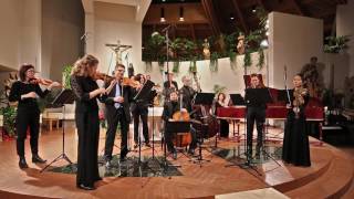 Zefiro Baroque Orchestra  J S Bach BWV 2482  Sinfonia [upl. by Tezzil814]