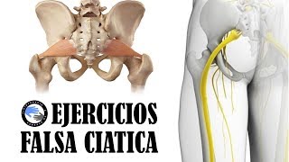 Los 3 mejores ejercicios para tratar el sindrome del piramidal o falsa ciatica [upl. by Mcculloch501]