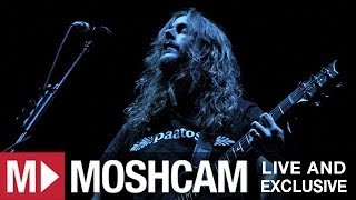 Opeth  Folklore  Live in Sydney  Moshcam [upl. by Aronoel445]