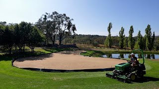 Its Looking Pure at Day 25  The Bentgrass Has Germinated [upl. by Eibber]