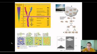 Microevolution [upl. by Clement]