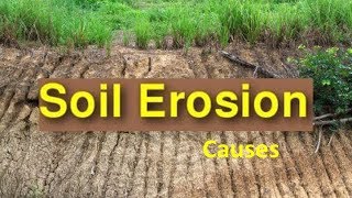 Soil Erosion Causes amp Soil Conservation Video for Kids [upl. by Pascoe]