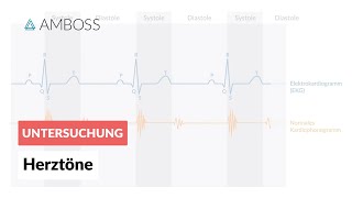 Physiologische Herztöne  AMBOSS  Video [upl. by Nnav]