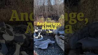 Anchorage Alaska vlog trip alaska anchorage anchoragealaska alaskanativeheritagecenter [upl. by Names]